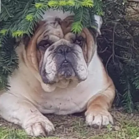 Convento Di San Martino In Crocicchio