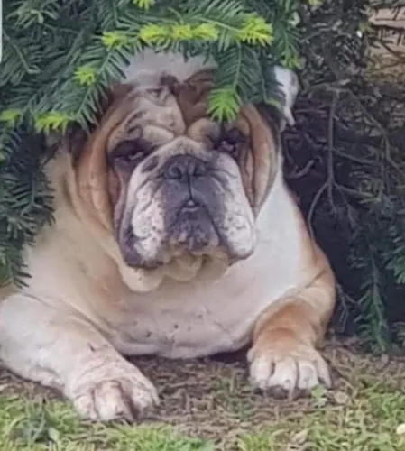 Convento Di San Martino In Crocicchio